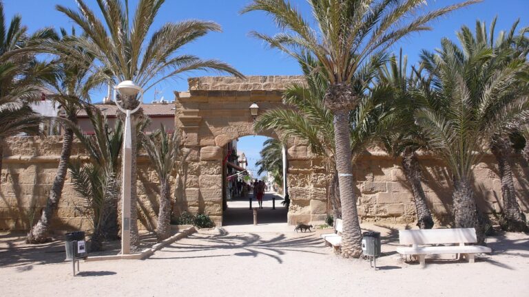 tabarca island