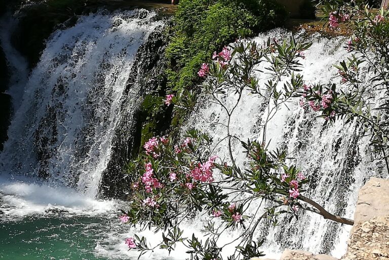 waterfalls algar