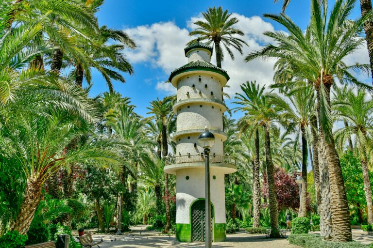 elche in spain