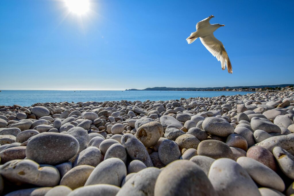 private tour guide Spain